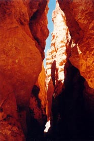 Felsnadeln im Bryce Canyon