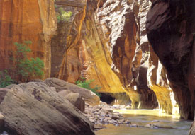 Virgin River im Zion National Park